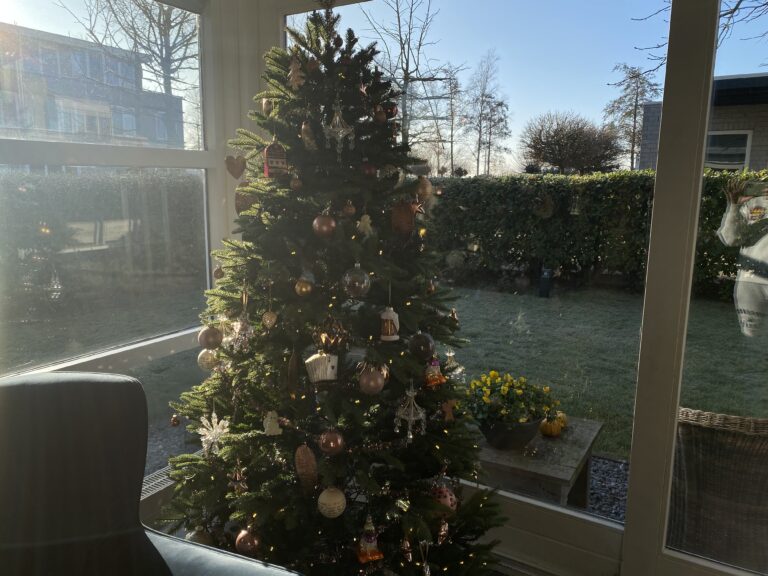 kerstboom