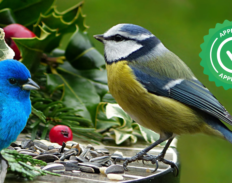 Vogelvriendelijke tuin