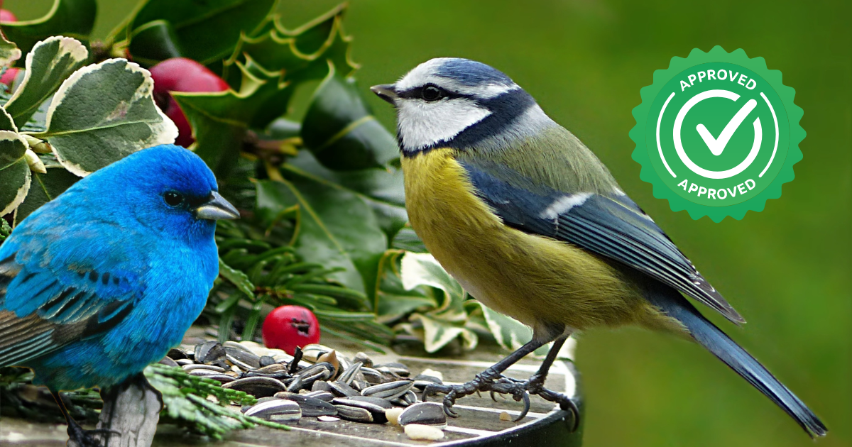 Vogelvriendelijke tuin