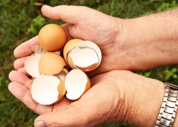 Waarom je nooit meer eierschalen moet weggooien: dit doet het met je tuin!