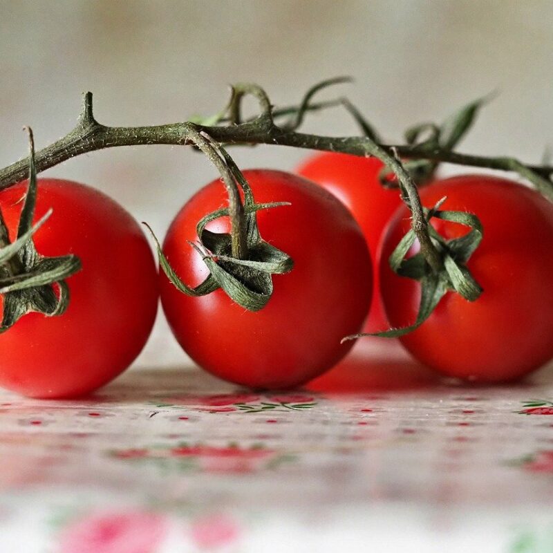 tomaten