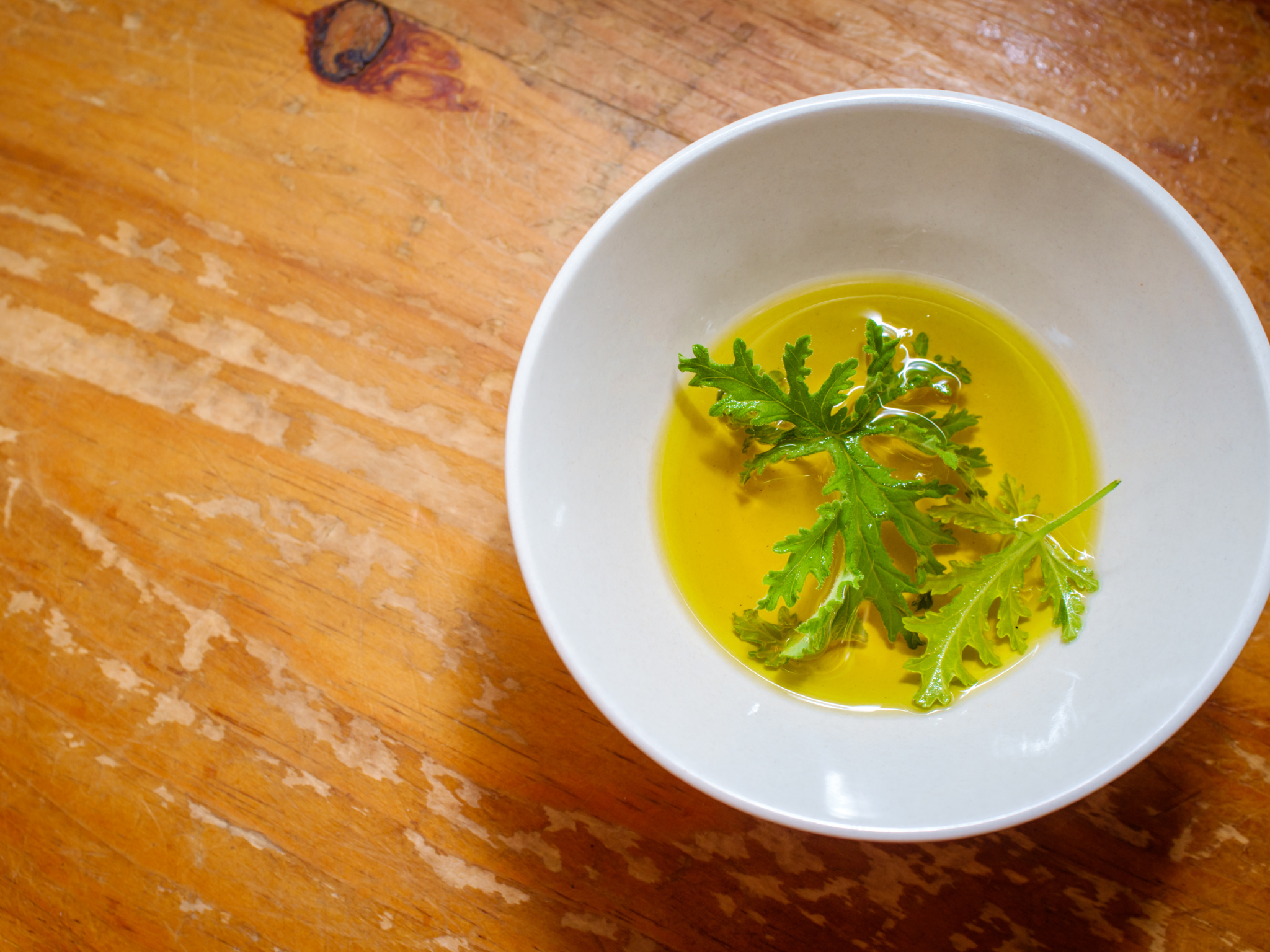 Muggen verdwijnen als sneeuw voor de zon dankzij deze makkelijke oplossing