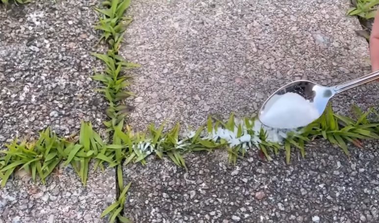 Last van onkruid tussen je tegels? met dit simpele trucje ben je er zo vanaf