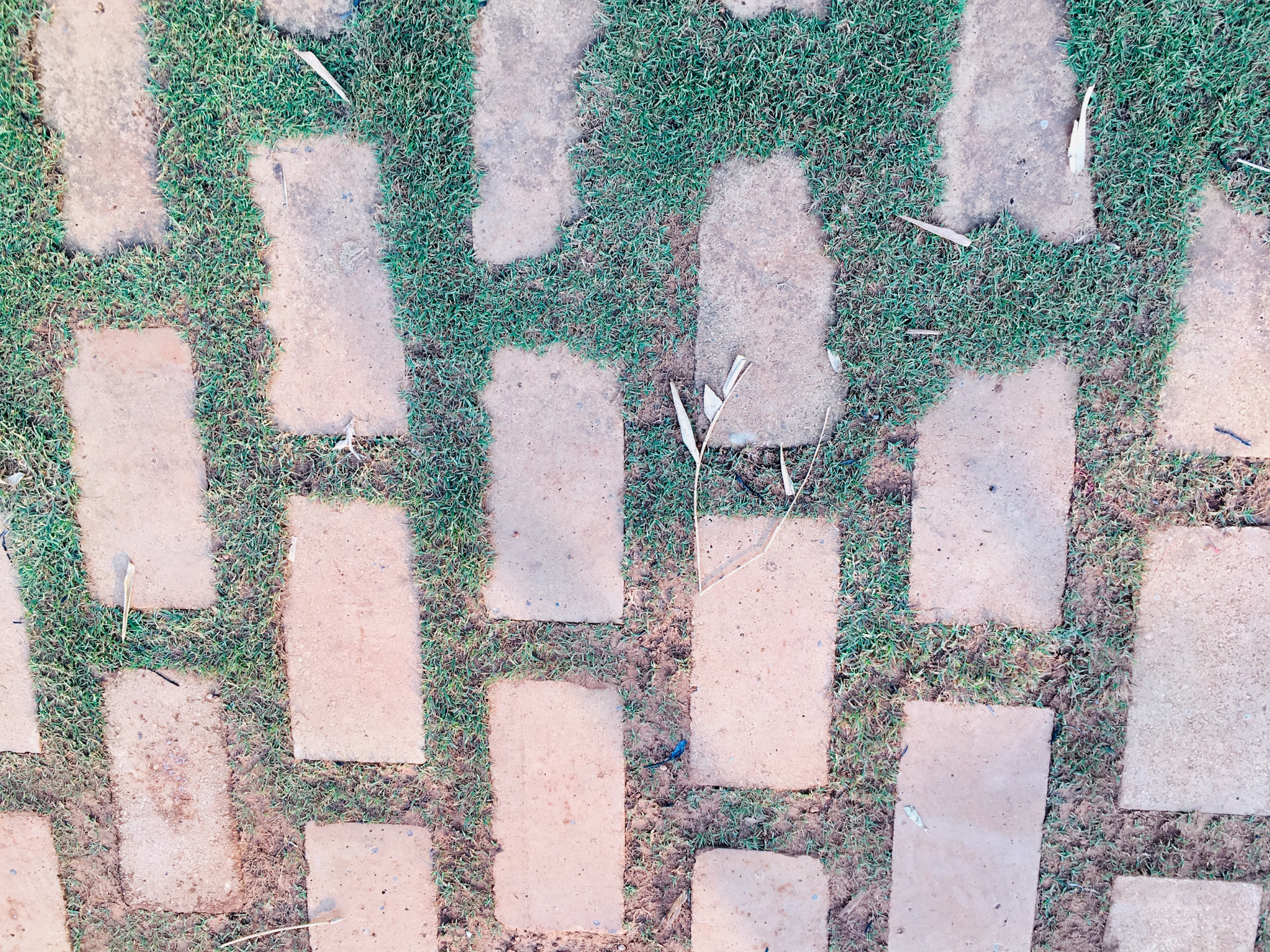 Nooit meer schrobben met deze truc verdwijnt groene aanslag vanzelf