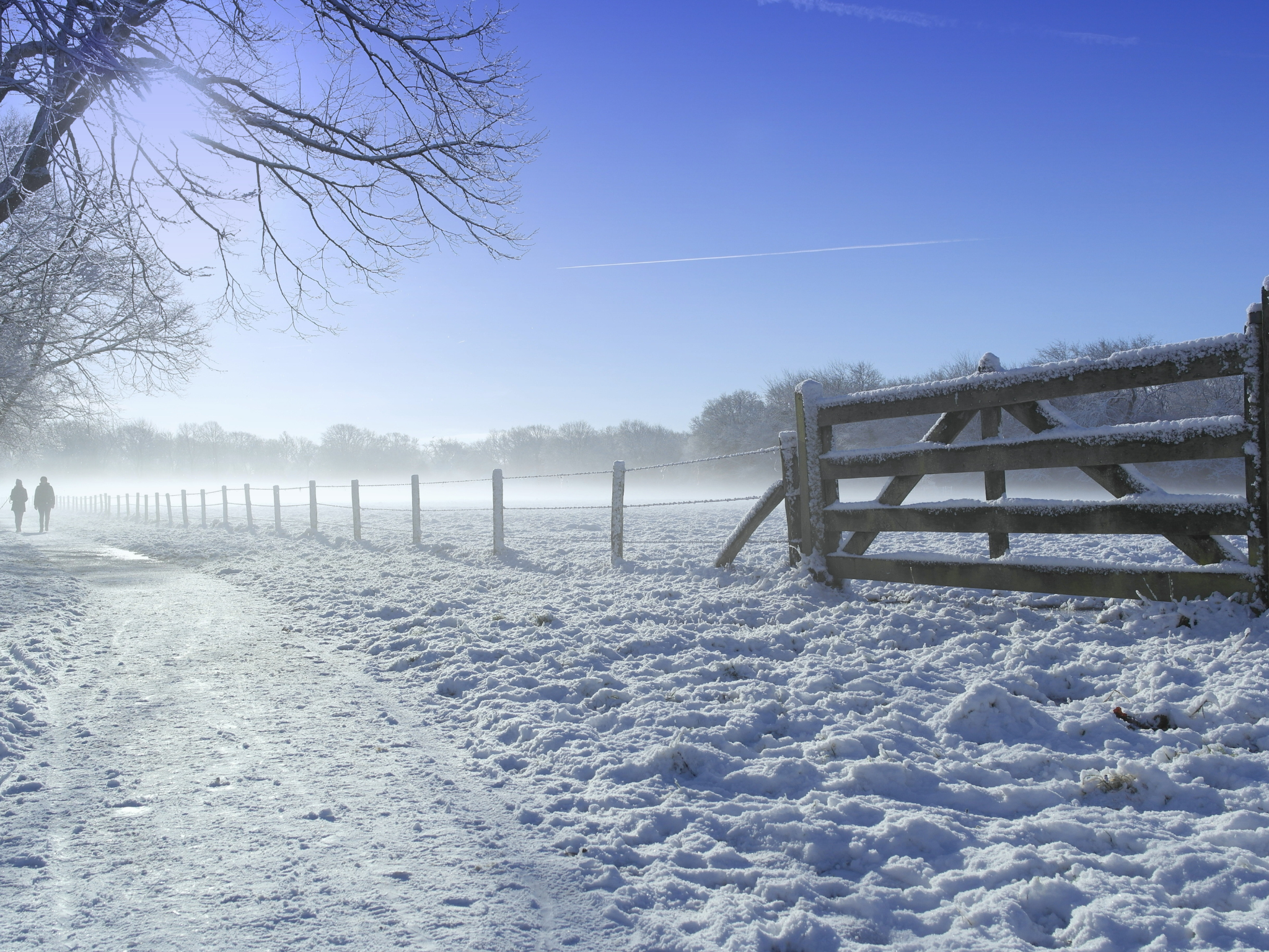 KNMI waarschuwt: Nederland krijgt een uitzonderlijk koude winter