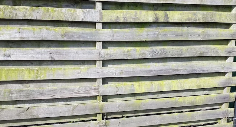 Omaās geheime truc: zo verdwijnt groene aanslag razendsnel van je schutting