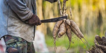Dit populaire voedsel is gevaarlijker dan je denkt – en je eet het misschien wel elke week