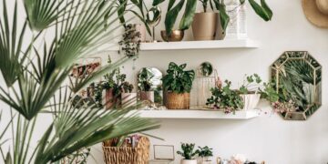 Onder €2: dit nieuwe Action-item is een echte aanwinst voor je planten