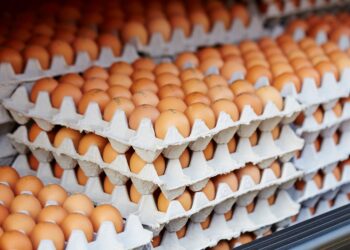 Iedereen praat erover: zóveel betaal je nu voor een doos eieren