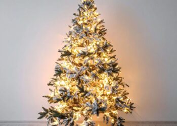 Eindelijk duidelijk: de dag dat de kerstboom écht in huis hoort