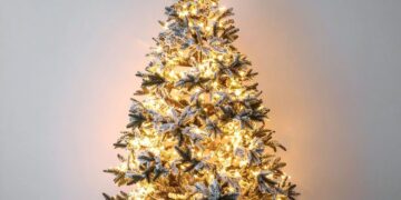 Eindelijk duidelijk: de dag dat de kerstboom écht in huis hoort