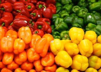 Nederlanders betalen straks fors meer voor paprika’s en tomaten