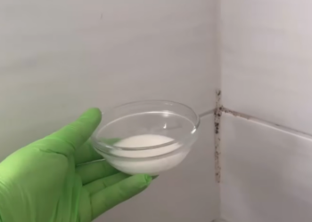 Schimmel op de kitrand in de douche? Zo ben je er in een paar minuten van af