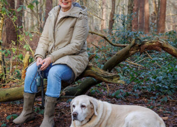 Hondeneigenaren verboden: Dit natuurgebied sluit de poorten In 2026