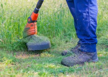 Pas op: wie nu al het gazon maait, kan het gras flink kapot maken