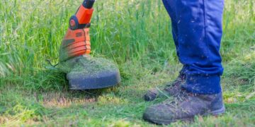 Pas op: wie nu al het gazon maait, kan het gras flink kapot maken