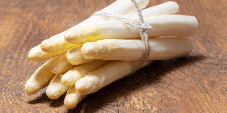 Romige aspergeschotel met ham en kaas: dé ultieme lenteschotel voor het hele gezin