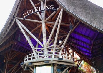 Let op! Deze verborgen kosten maken een dag Efteling veel duurder dan je denkt