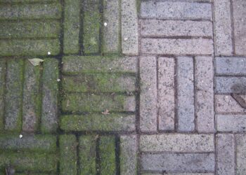 Zo maak je je tuintegels in slechts 10 minuten weer stralend schoon