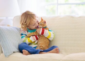 Deze 5 rustige kattenrassen zijn perfect voor gezinnen met kinderen