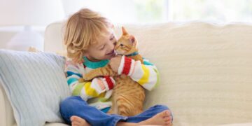 Deze 5 rustige kattenrassen zijn perfect voor gezinnen met kinderen