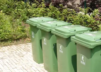 Let op: gooi dit onkruid nooit meer in de GFT afvalbak