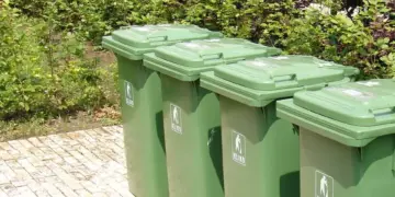 Let op: gooi dit onkruid nooit meer in de GFT afvalbak